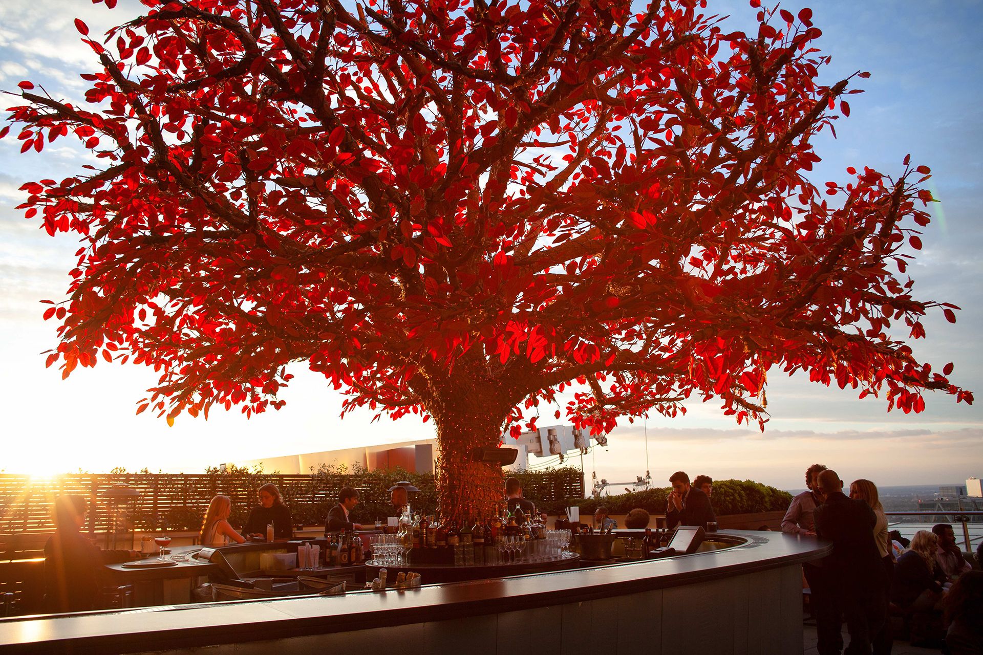 SUSHISAMBA Heron Tower Tree Terrace