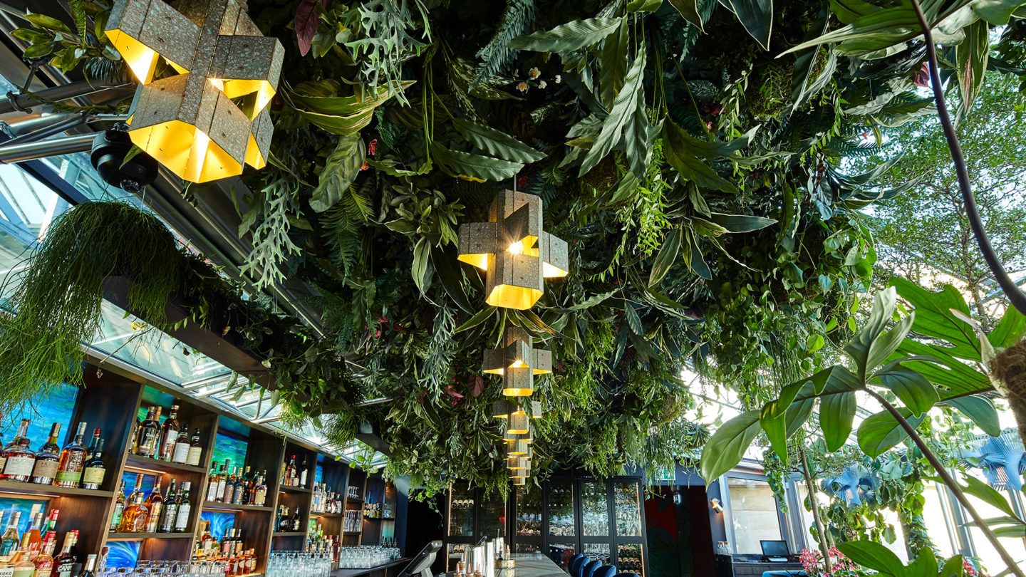 sushisamba covent garden living ceiling