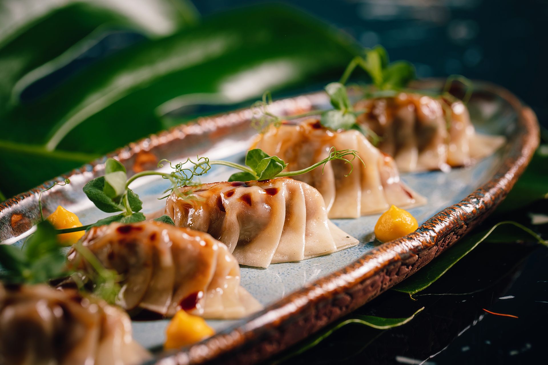 JAPANESE A5 WAGYU BEEF GYOZA