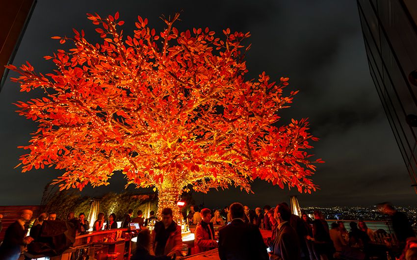 sushisamba heron tower tree bar at night