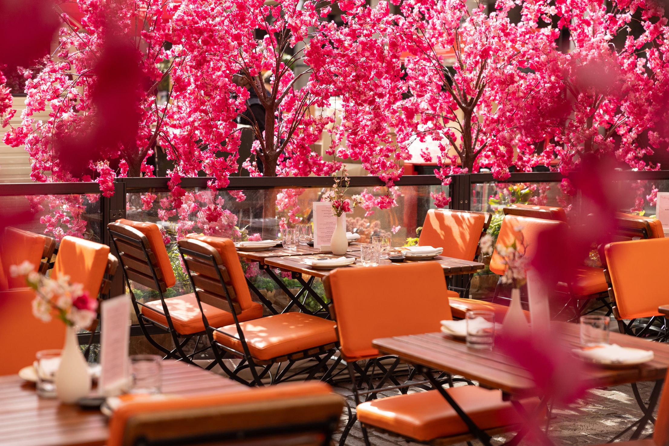 Sakura Spring Terrace