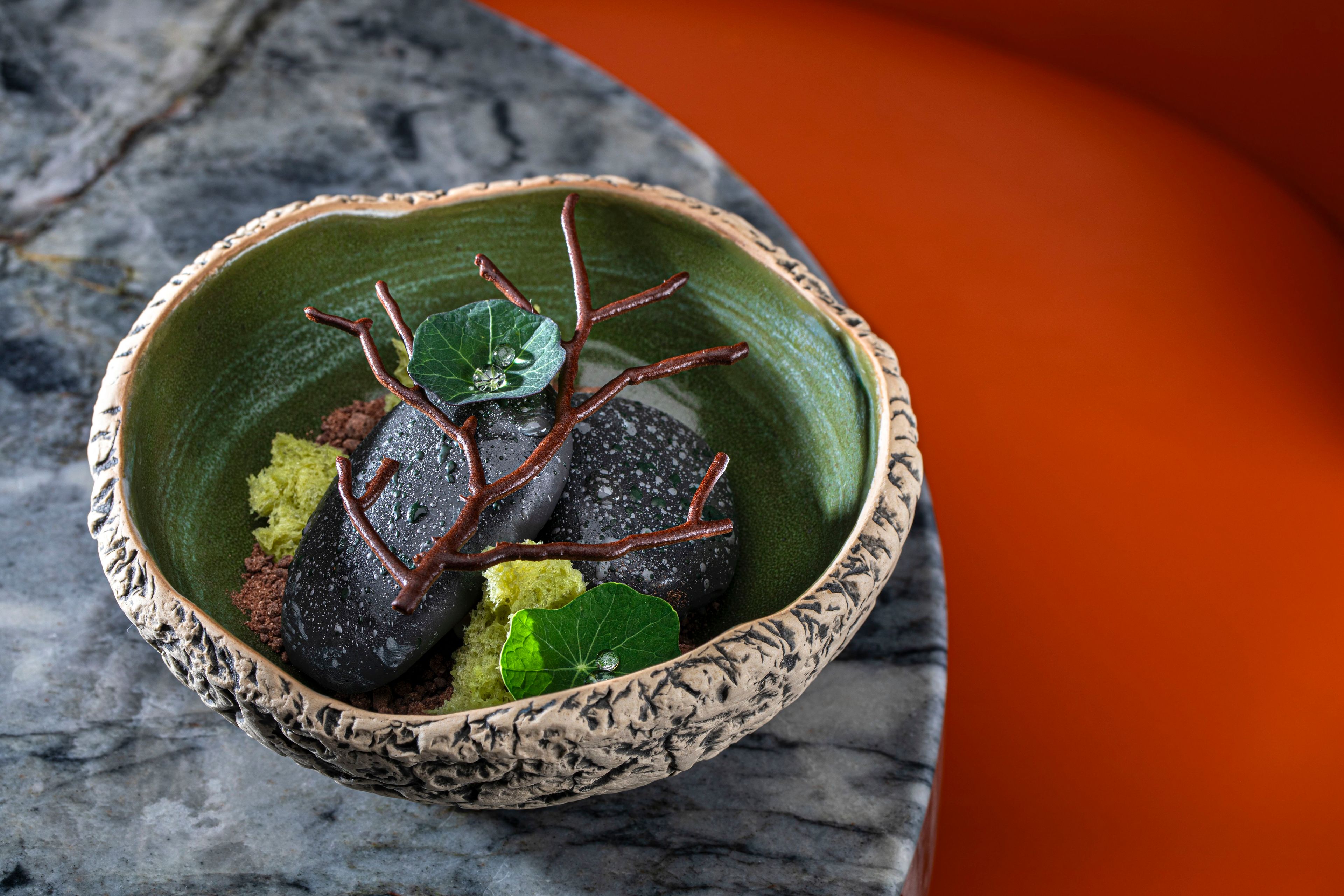 Welcome to the Rainforest dessert sushisamba